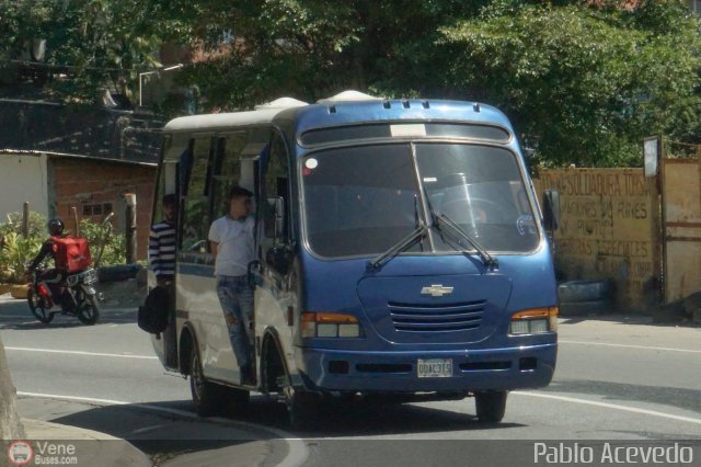 DC - Tigres de Plan de Manzano 046 por Pablo Acevedo