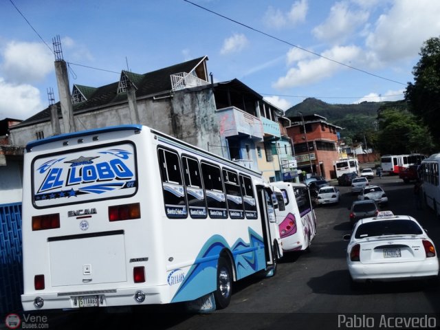 A.C. L�nea Autobuses Por Puesto Uni�n La Fr�a 09 por Pablo Acevedo