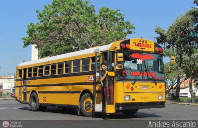 CA - TransDrácula D16 por Andrés Ascanio