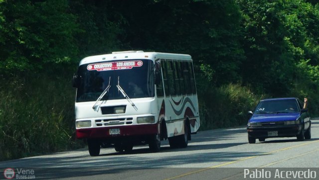 Colectivo Los Andes 89 por Pablo Acevedo