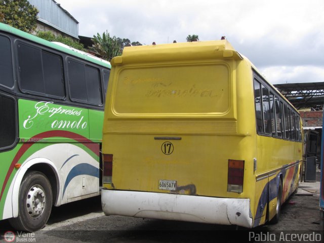 Expresos Coromoto 17 por Pablo Acevedo
