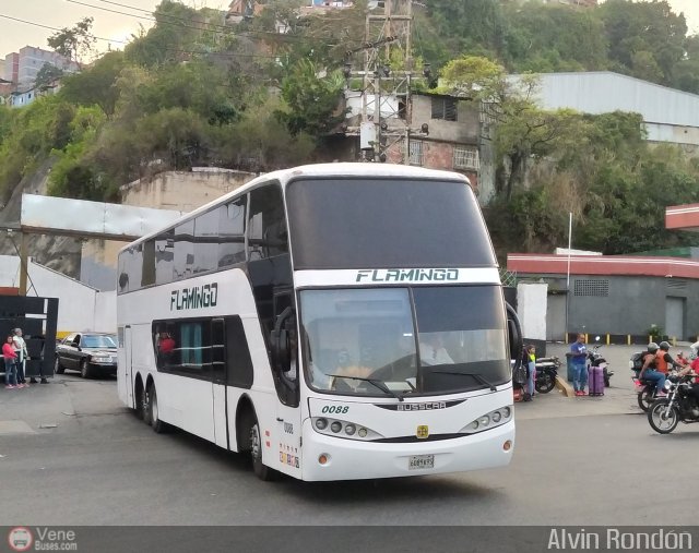 Expresos Flamingo 0088 por Alvin Rond�n