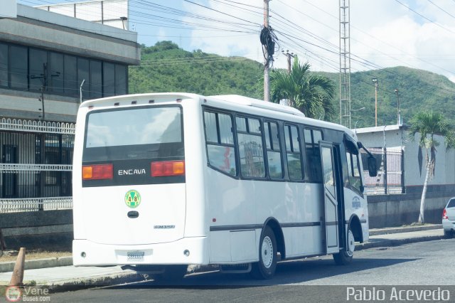 A.C. de Transporte Larense 48 por Pablo Acevedo