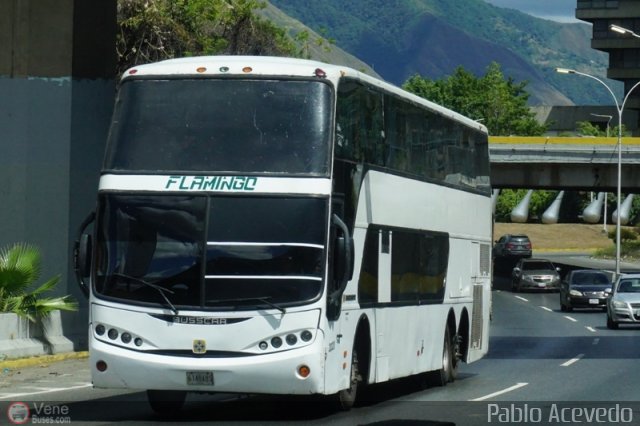 Expresos Flamingo 2020 por Pablo Acevedo