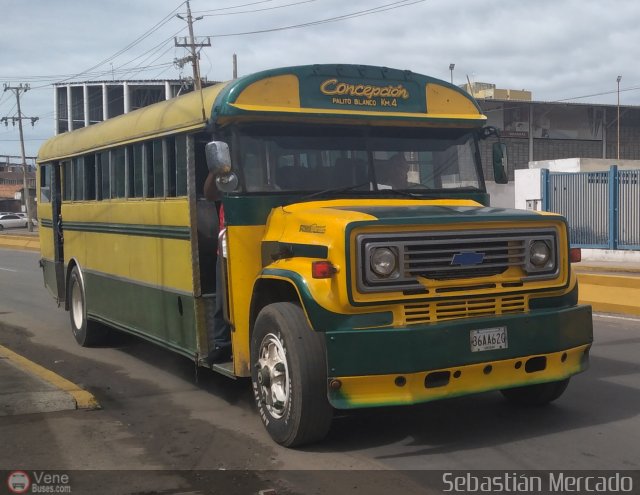 ZU - Colectivos Concepcin 026 por Sebastin Mercado