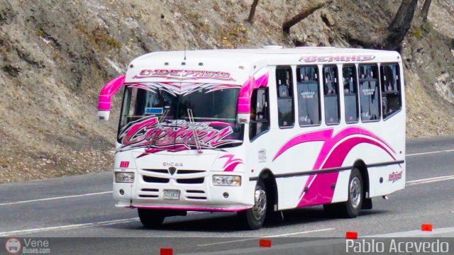 A.C. Indepasib 110 por Pablo Acevedo