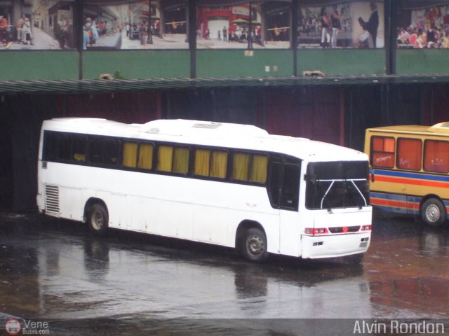 Particular o Desconocido 984 por Alvin Rond�n