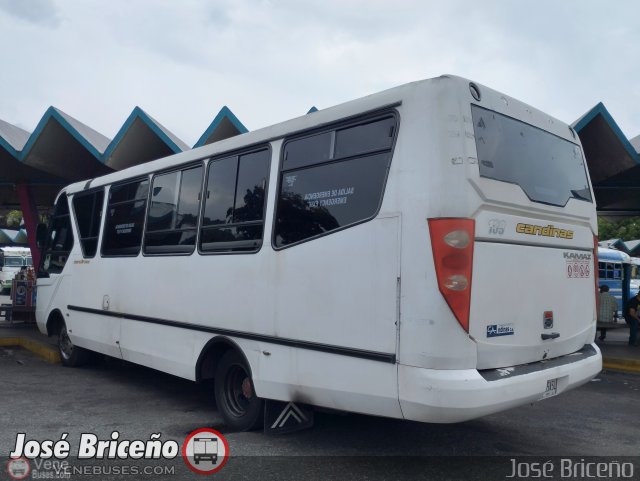 Transporte Barinas 039 por Jos Briceo