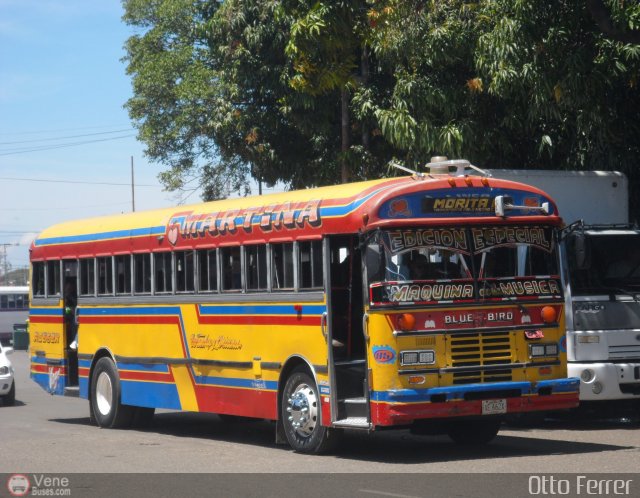 Transporte Palo Negro La Morita 2 085 por Otto Ferrer