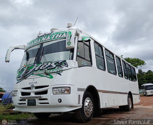 Expresos Maranatha C.A. 10 por Javier Arretureta