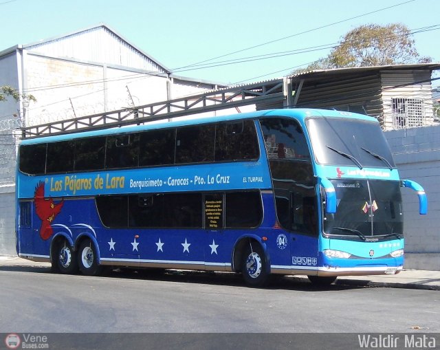 Los P�jaros de Lara 004 por Waldir Mata