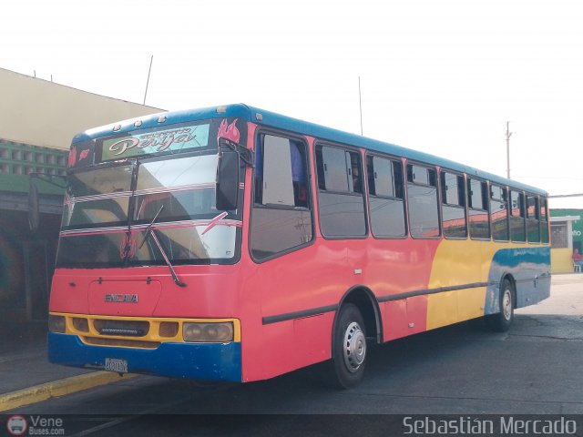Colectivos Perij� 27 por Sebasti�n Mercado