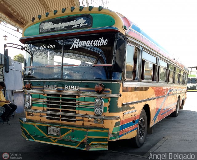 ZU - Colectivos Concepci�n 059 por �ngel Delgado