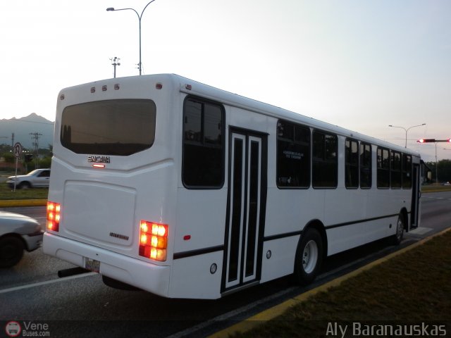 Particular NO USAR M�S 04 por Aly Baranauskas