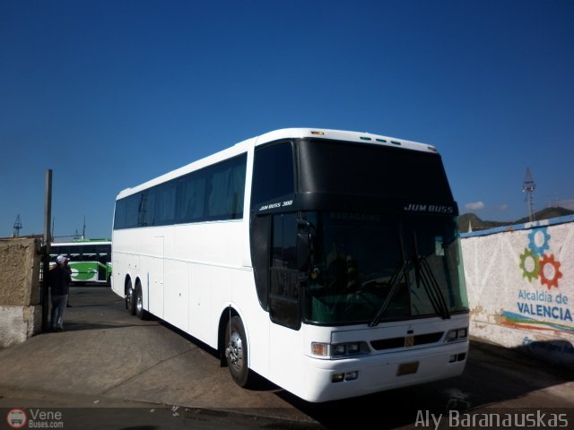 Particular o Desconocido 0001 por Aly Baranauskas