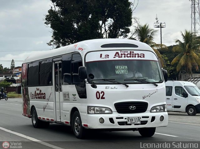 Particular o Desconocido 02 por Leonardo Saturno