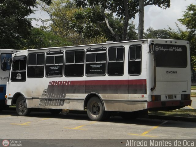 Unión Venezuela 55 por Alfredo Montes de Oca