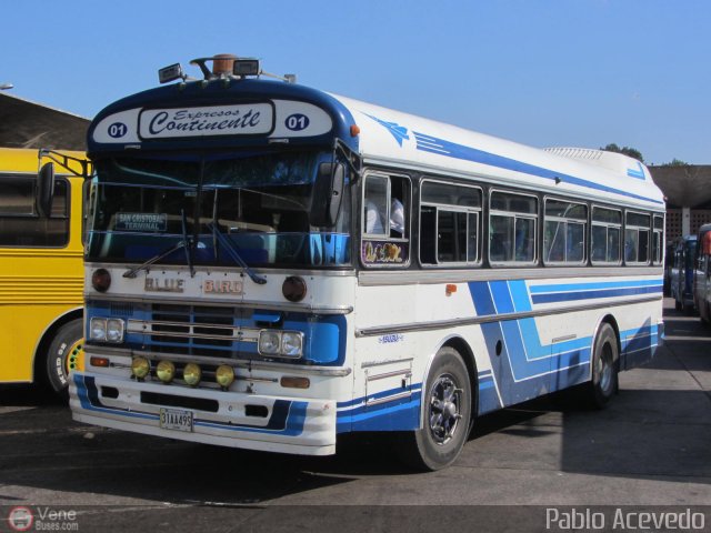 Expresos Continente C-01 por Pablo Acevedo