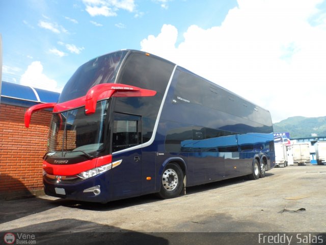 Tigres de Aragua B.B.C. 01 por Freddy Salas