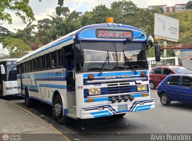 Expresos Nirgua 0060 por Alvin Rondn
