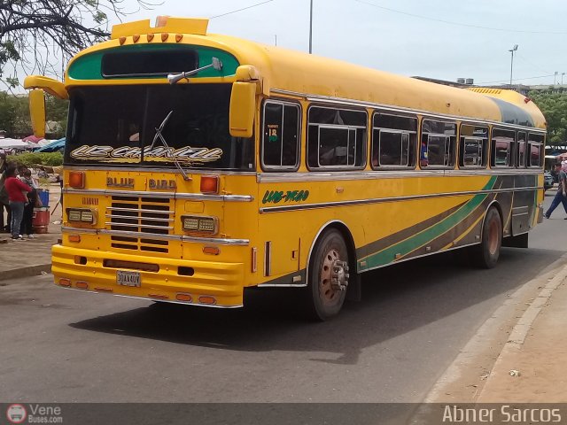 ZU - Colectivos Concepcin 125 por Abner Sarcos