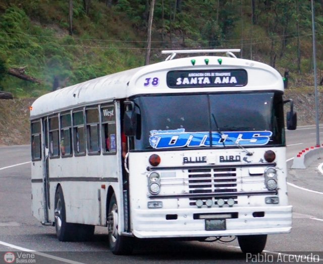 A.C. de Transporte Santa Ana 38 por Pablo Acevedo