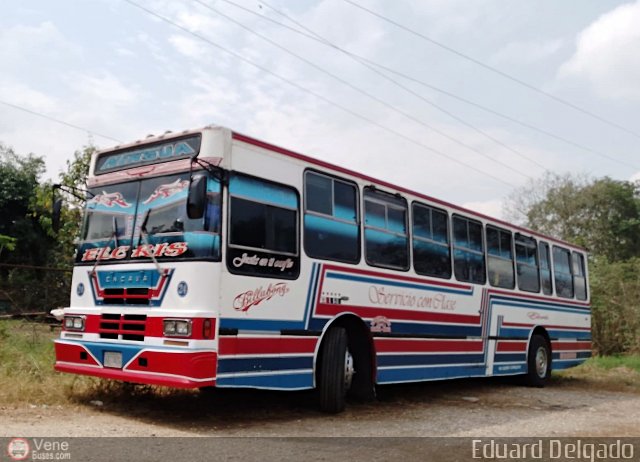 Expresos Nirgua 0024 por Eduard Delgado