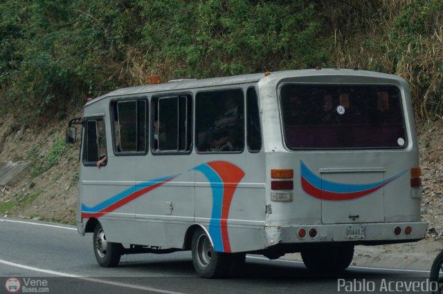 DC - Tigres de Plan de Manzano 051 por Pablo Acevedo