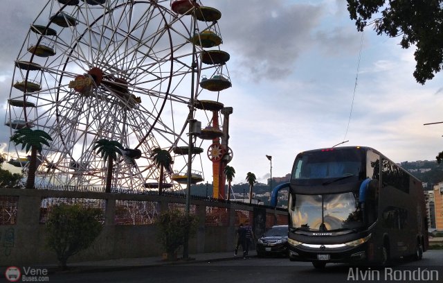 Cocodrilos de Caracas BBC 01 por Alvin Rond�n