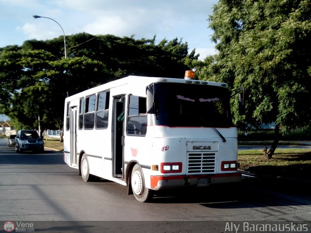 Uni�n Venezuela 12 por Aly Baranauskas