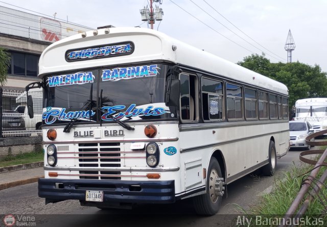 Transporte Mixto Chirgua 0035 por Aly Baranauskas