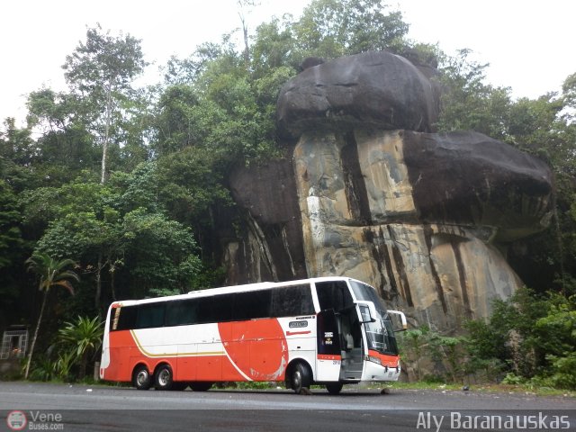 Particular o Desconocido 2016 por Aly Baranauskas