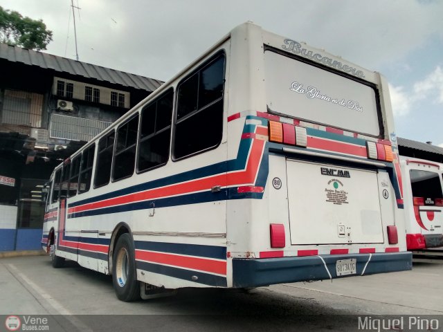A.C. Mensajeros Llanos del Sur 065 por Miguel Pino