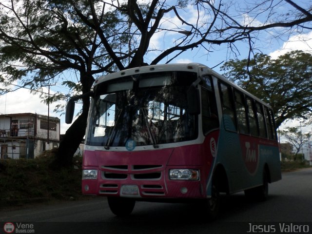 TransMiranda 019 por Jes�s Valero