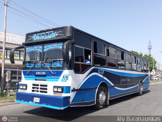 Transporte Mixto Chirgua 0019 por Aly Baranauskas