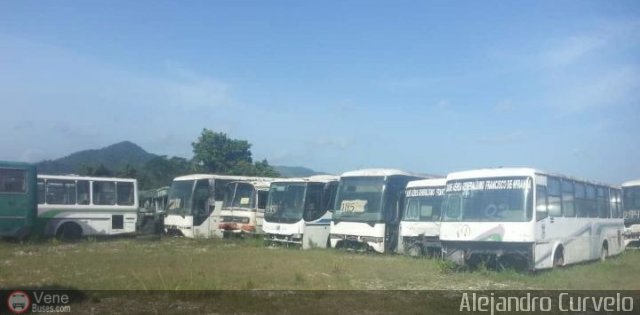 En Chiveras Abandonados Recuperaci�n AC008 por Alejandro Curvelo