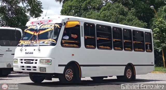Colectivo Los Andes 33 por Gabriel Gonz�lez