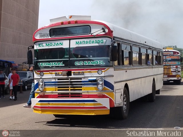 Colectivo San Rafael 28  por Sebasti�n Mercado