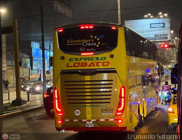 Expreso Lobato 291 por Leonardo Saturno