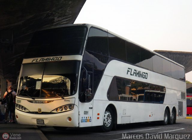 Expresos Flamingo 0091 por Marcos David M�rquez