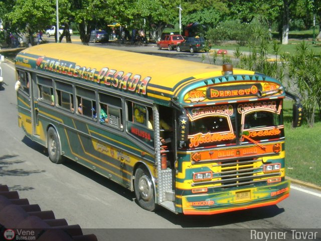 Lnea Fraternidad C.A. 59 por Royner Tovar