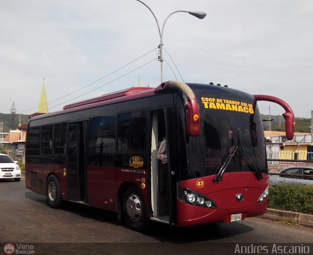 A.C. de Transporte Sol de Tamanaco 47 por Andrs Ascanio
