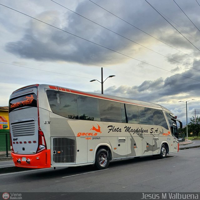 Flota Magdalena S.A. 1647 por Jess Miguel Valbuena