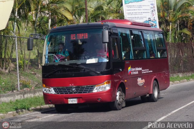 Particular o Desconocido 07A por Pablo Acevedo