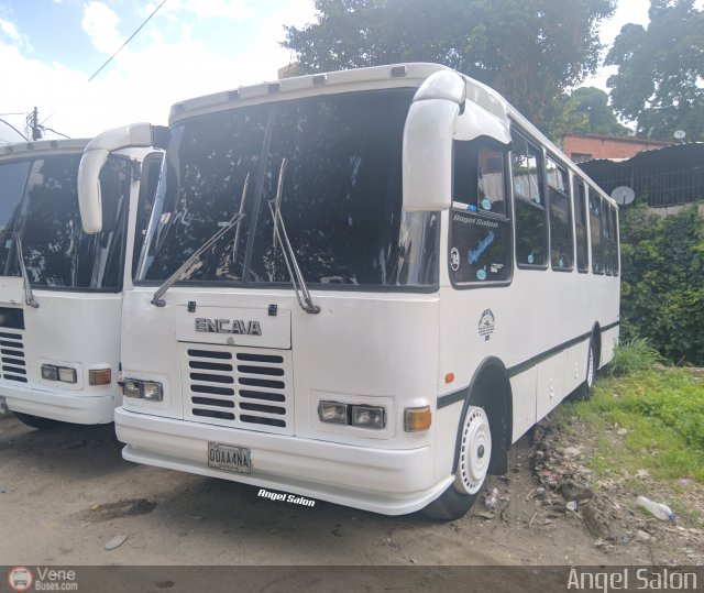 A.C. Don Augusto Malave Villalba 105 por �ngel Sal�n