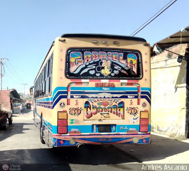 Transporte Guacara 0040 por Andr�s Ascanio