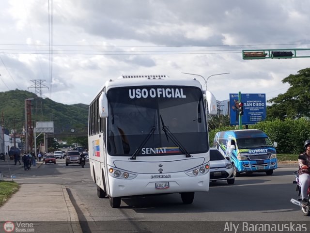 SENIAT 3000 por Aly Baranauskas