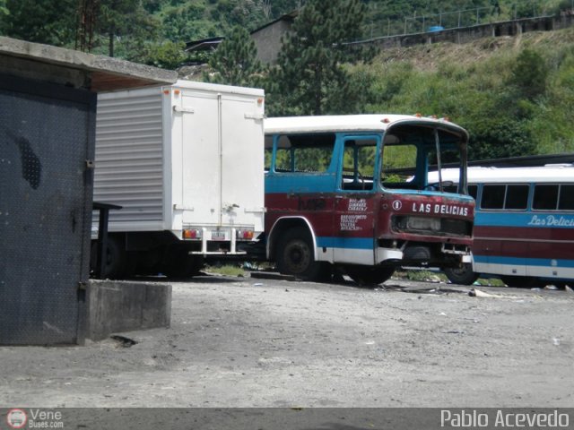 Transporte Las Delicias C.A. 09 por Pablo Acevedo