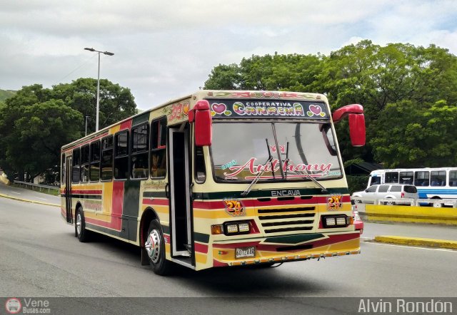 Cooperativa Canaima 24 por Alvin Rond�n