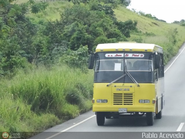 Lnea El Pial A.C. 38 por Pablo Acevedo